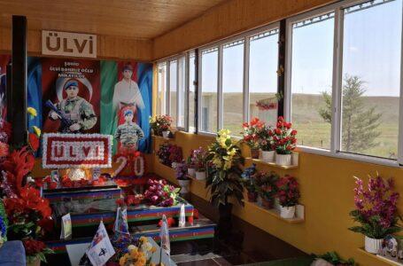 Şəhid Ülvi Mikayılovun  atası-DÖVLƏT BAŞÇISINA ÜZ TUTDU…