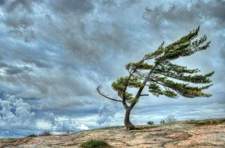 Bəzi rayonlarda güclü külək əsəcək-XƏBƏRDARLIQ