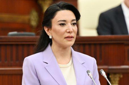 Naxçıvana edilmiş dron hücumları qonşuluq prinsiplərinə ziddir-OMBUDSMAN